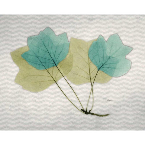 Citrus Tulip Tree Black Modern Wood Framed Art Print with Double Matting by Koetsier, Albert