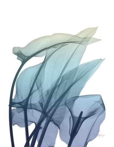 Ombre Expression 3 Black Ornate Wood Framed Art Print with Double Matting by Koetsier, Albert