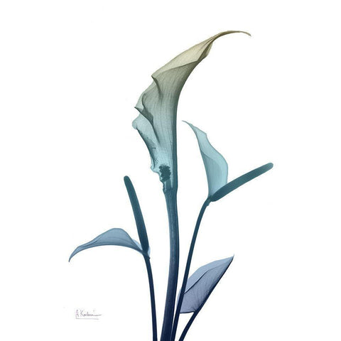 Ombre Expression 4 Black Modern Wood Framed Art Print by Koetsier, Albert