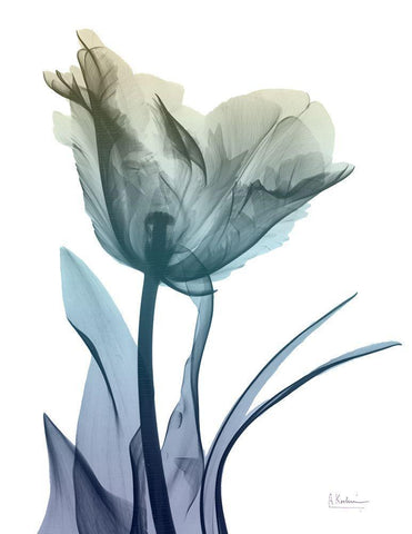 Ombre Expression 5 White Modern Wood Framed Art Print with Double Matting by Koetsier, Albert