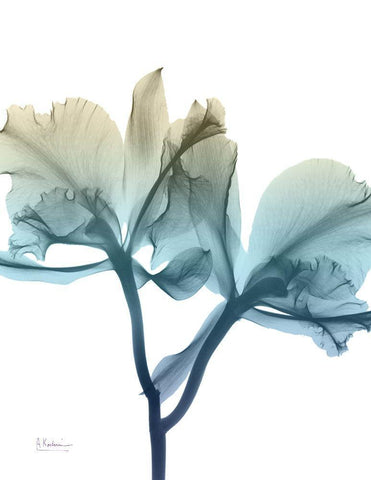 Ombre Expression 8 White Modern Wood Framed Art Print with Double Matting by Koetsier, Albert