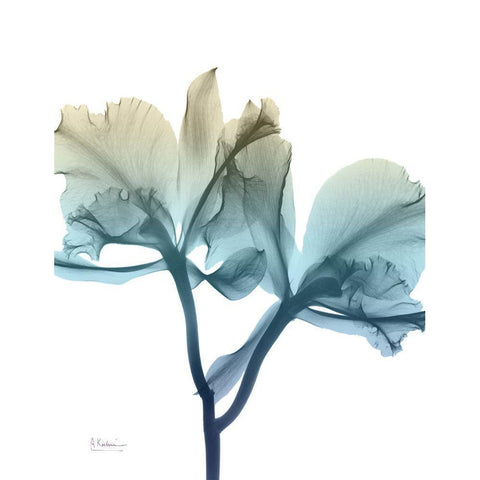 Ombre Expression 8 Gold Ornate Wood Framed Art Print with Double Matting by Koetsier, Albert