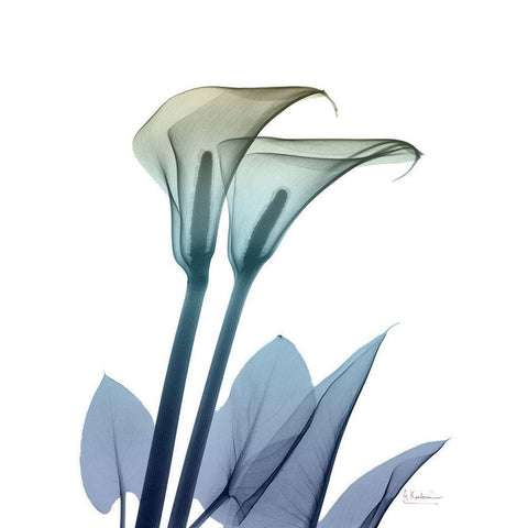 Ombre Expression 9 Black Modern Wood Framed Art Print by Koetsier, Albert