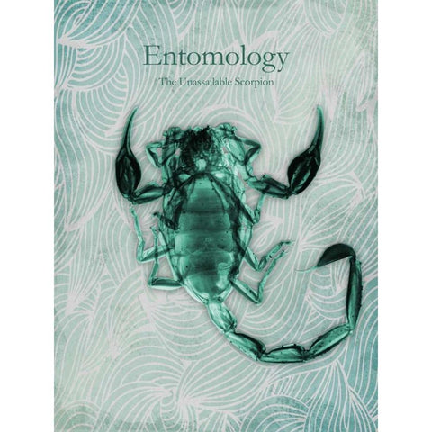 Unassailable Scorpion Black Modern Wood Framed Art Print with Double Matting by Koetsier, Albert