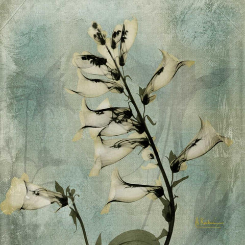Golden Fox Glove Black Modern Wood Framed Art Print by Koetsier, Albert