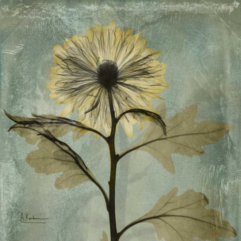 Chrysanthemum Black Ornate Wood Framed Art Print with Double Matting by Koetsier, Albert