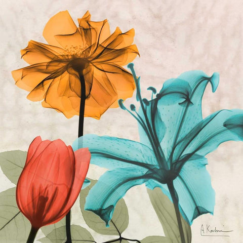 Spice Avalon X White Modern Wood Framed Art Print by Koetsier, Albert