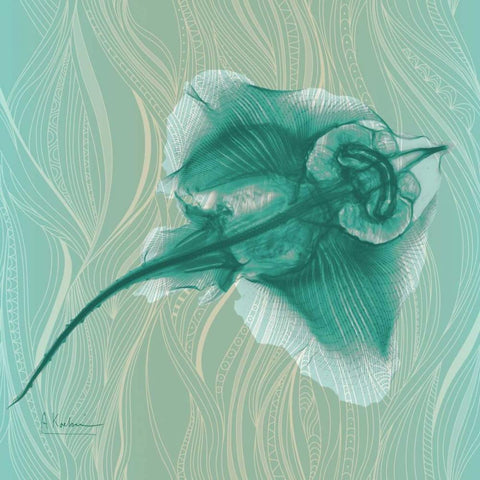 Skate 86 White Modern Wood Framed Art Print with Double Matting by Koetsier, Albert