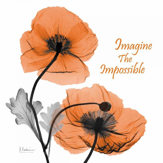 Image Only