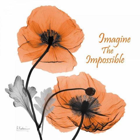 Iceland Poppy Quote Black Ornate Wood Framed Art Print with Double Matting by Koetsier, Albert