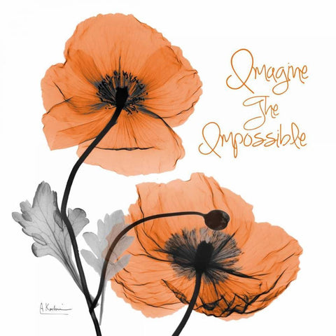 Imagine Iceland Poppy Black Ornate Wood Framed Art Print with Double Matting by Koetsier, Albert