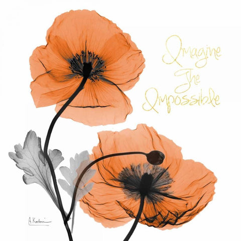 Impossible Iceland Poppy Black Ornate Wood Framed Art Print with Double Matting by Koetsier, Albert
