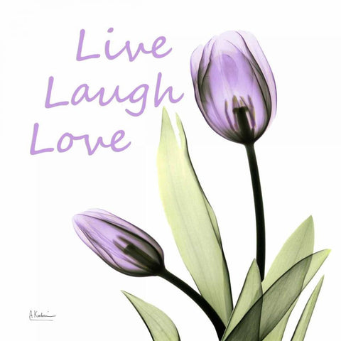 LLL C64 White Modern Wood Framed Art Print with Double Matting by Koetsier, Albert