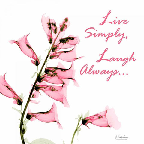 Live and Laugh Foxglove White Modern Wood Framed Art Print with Double Matting by Koetsier, Albert