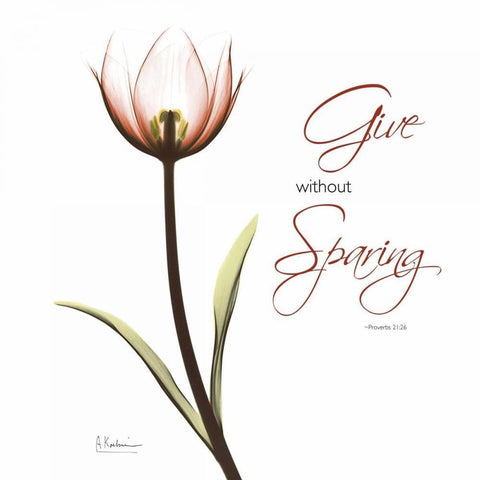 Giving Tulip C69 Black Ornate Wood Framed Art Print with Double Matting by Koetsier, Albert