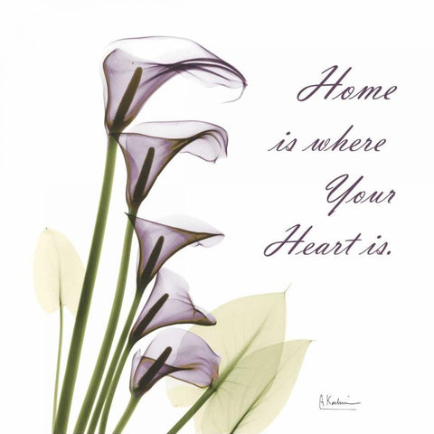Calla Lilies Home Black Ornate Wood Framed Art Print with Double Matting by Koetsier, Albert