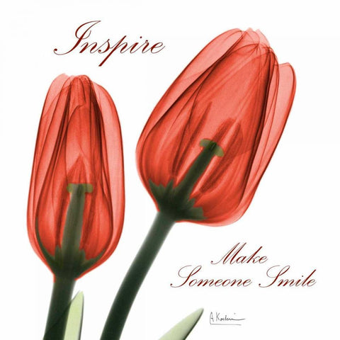 Inspire Tulips Black Ornate Wood Framed Art Print with Double Matting by Koetsier, Albert