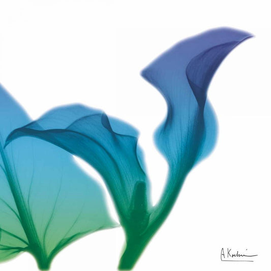 Image Only