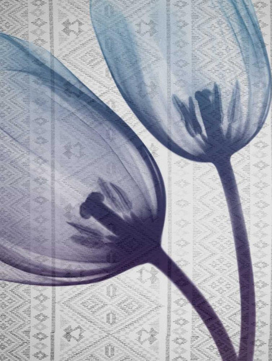 Image Only