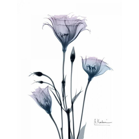Midnight Gentian 2 Gold Ornate Wood Framed Art Print with Double Matting by Koetsier, Albert