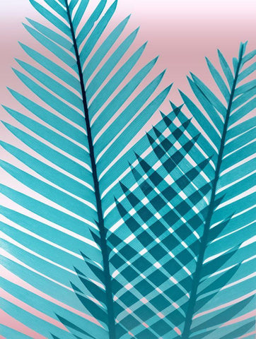 Cotton Candy Fern White Modern Wood Framed Art Print with Double Matting by Koetsier, Albert