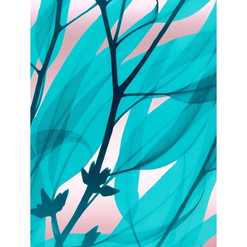 Eucalyptus Cotton Candy White Modern Wood Framed Art Print by Koetsier, Albert