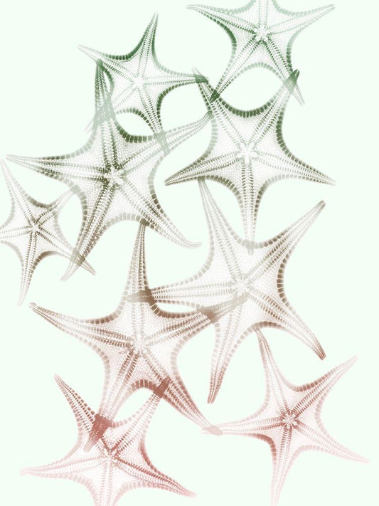 Image Only