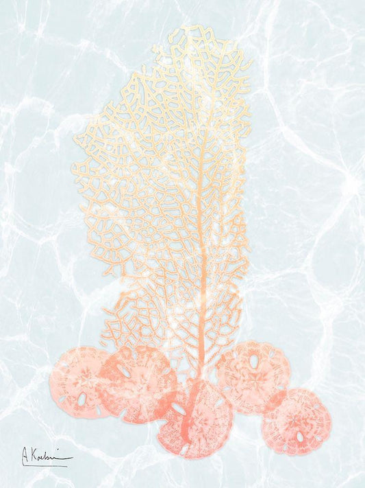 Image Only