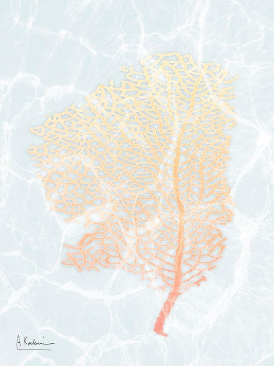Image Only