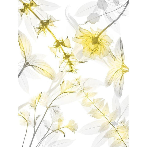 Reaching Brightness 2 Gold Ornate Wood Framed Art Print with Double Matting by Koetsier, Albert