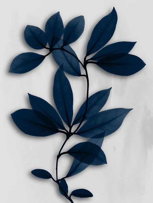 Image Only