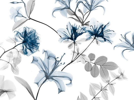 Image Only