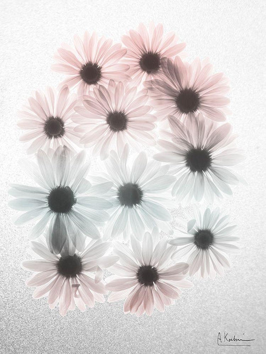 Image Only