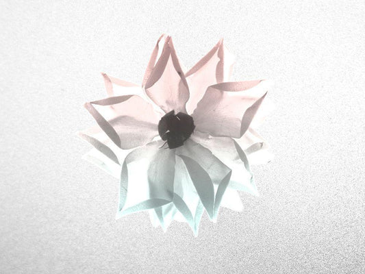 Image Only