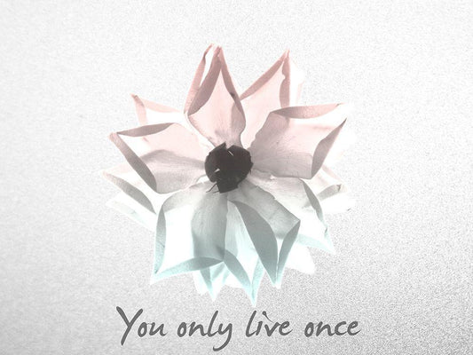 Image Only