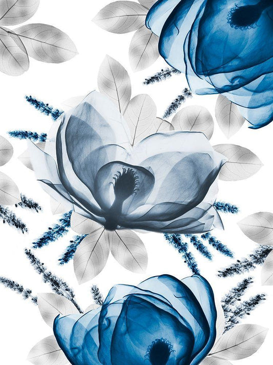 Image Only