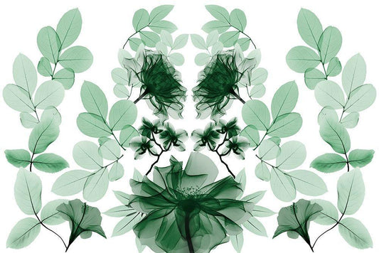 Image Only