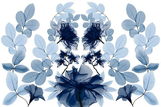 Image Only