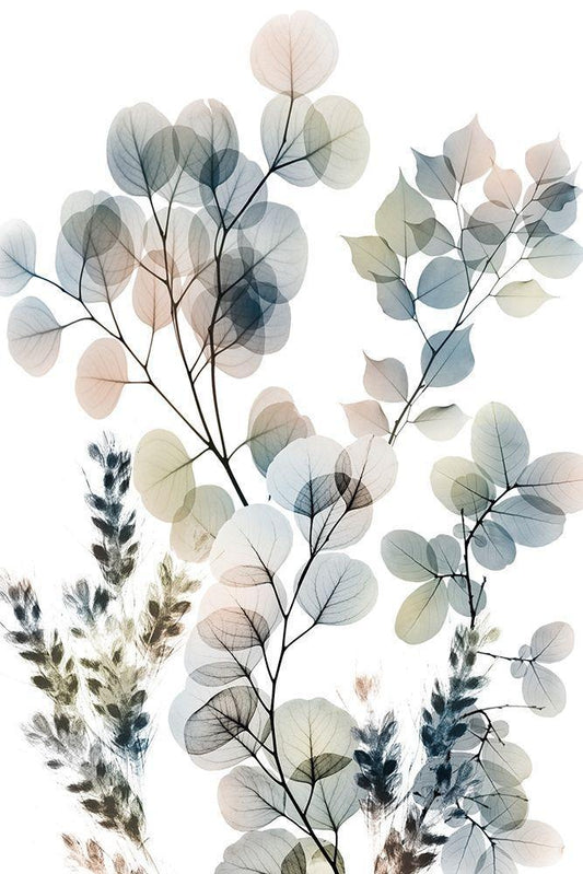 Image Only