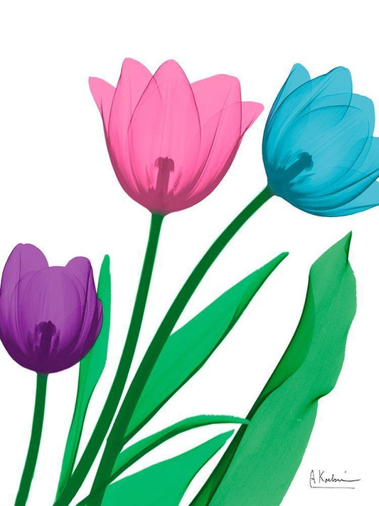 Image Only