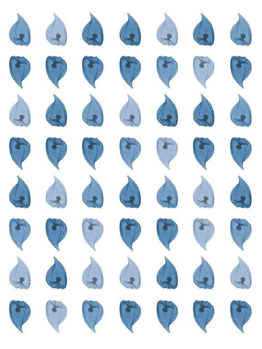 Image Only