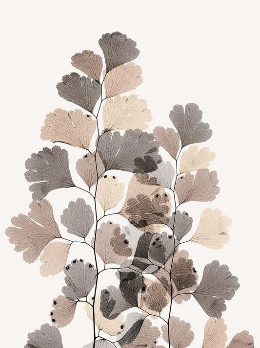 Image Only