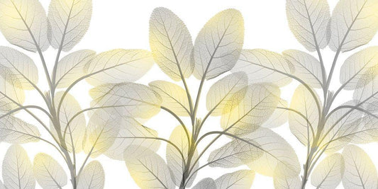 Image Only