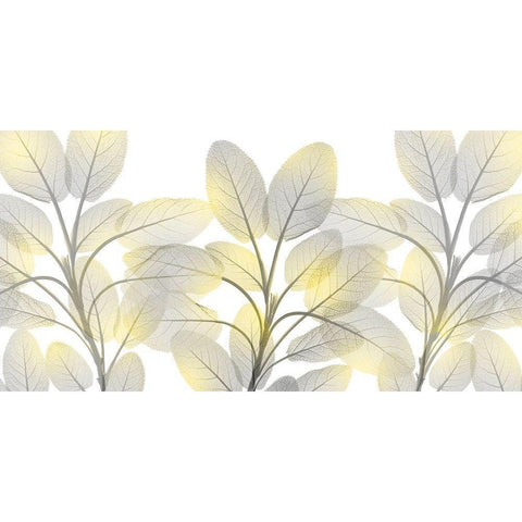 Illuminated Beauty 1 Gold Ornate Wood Framed Art Print with Double Matting by Koetsier, Albert