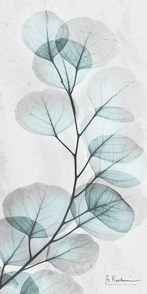 Image Only