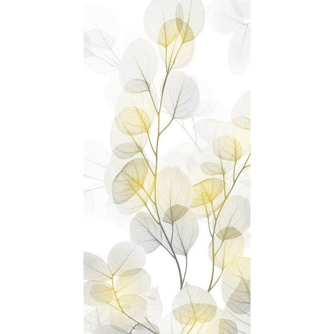 Bright Reach 1 Gold Ornate Wood Framed Art Print with Double Matting by Koetsier, Albert