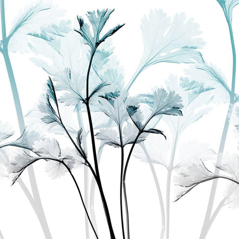 Amethyst Glow White Modern Wood Framed Art Print by Koetsier, Albert