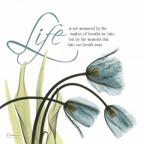 Swaying Tulips Blue - Life Black Modern Wood Framed Art Print by Koetsier, Albert
