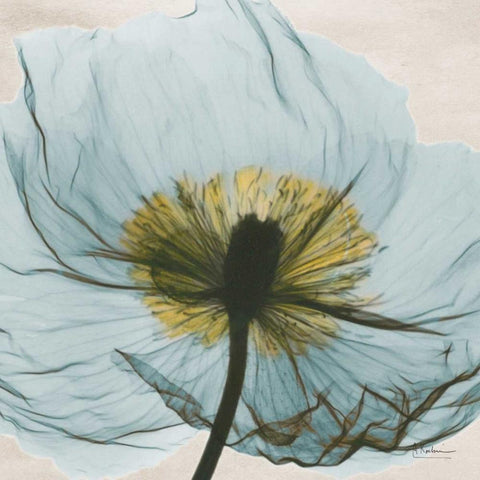 Dream in Pale Blue Black Ornate Wood Framed Art Print with Double Matting by Koetsier, Albert