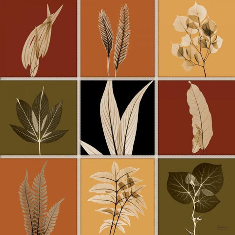 Harvest 9 patch 1 Gold Ornate Wood Framed Art Print with Double Matting by Koetsier, Albert